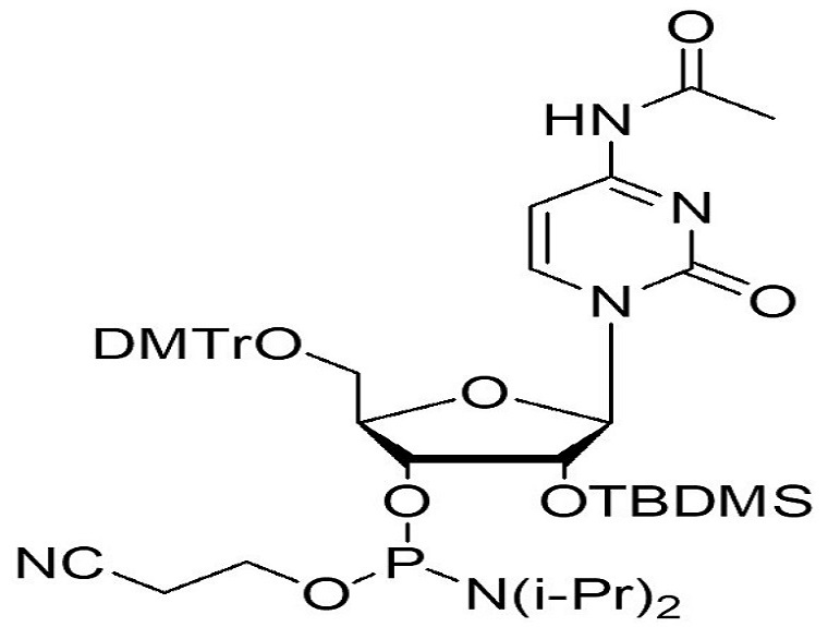 5'-ODMT-2’-OTBDMS-N-Ac cytidine amidite   